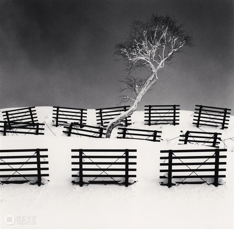 影像上海艺术博览会参展画廊|泰吉轩画廊 博文精选 PHOTOFAIRS 画廊 影像 上海艺术博览会 泰吉轩画廊 泰吉轩 现场 Gallery 展位 艺术家 迈克尔 崇真艺客
